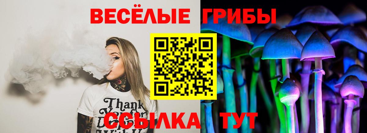 Псилоцибиновые грибы ЛСД Ртищево